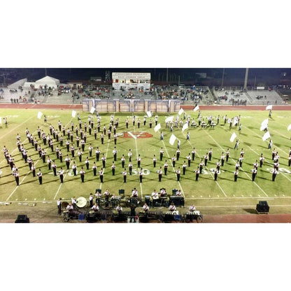 Media Monster (14' x 14')