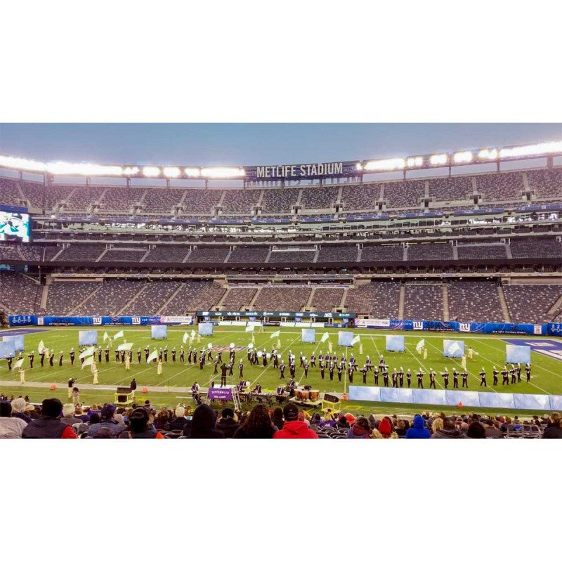 Media Monster (14' x 14')