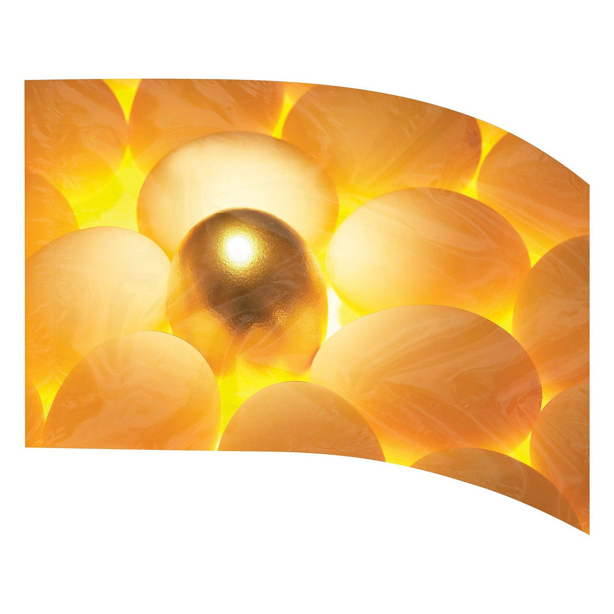 Digital Print Flag