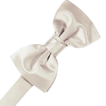 Luxury Satin Pre-Tied Bow Tie