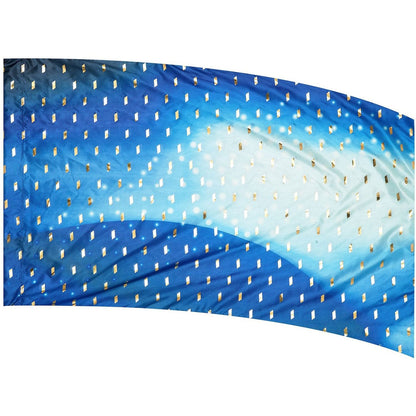 Performance Flag - Genesis 1006